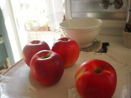 りんごのおいしい季節ですね～.jpg
