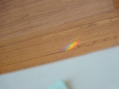 ソファーに横になっていたら床に虹が.jpg