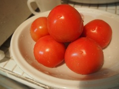 トマトは一つずつ食べてね.jpg