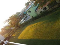 ベランダ側は　ほら　朝日が差し込んで芝生が綺麗.jpg