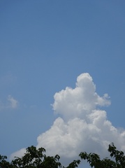 モクモクと　ミッキーのような入道雲が.jpg