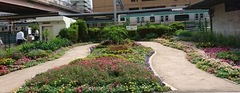 上尾駅前の花壇.jpg