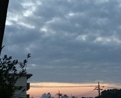 今朝の空-2.jpg