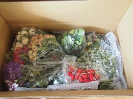 値付けの済んだお花大きな箱いっぱいになりました♪.jpg