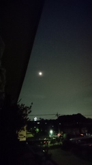 十五夜お月さま雲の中.jpg
