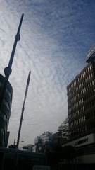 午後から雲が出てきましたが　わりと温かな一日で.jpg