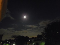 夕べは満月-1.jpg
