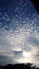 夕方の空　雲は秋雲.jpg