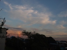 夕方５時のニュースで東京の空に虹が　ウチは？　あっ　出てる！！！.jpg
