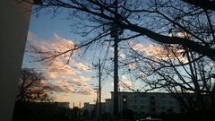 夕陽に染まる雲　綺麗だな～寒いけど（笑）.jpg