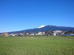姉の散歩コースから見える富士山.jpg