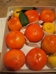 岡山の愛子さんからお庭の柿が　美味しいです.jpg