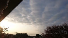 昨日の朝の空.jpg