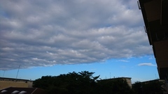 昨日の朝の雲と青空　ハッキリわかれて.jpg