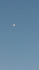 月が綺麗に見えます.jpg
