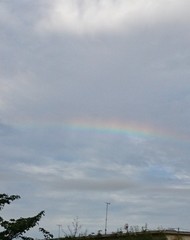 朝の虹は素敵な予感が.jpg