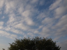 朝の雲　.jpg