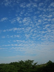 朝６時半　雲が.jpg