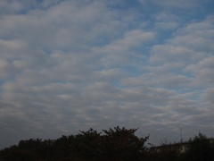 朝７時ごろの雲はこんな風.jpg