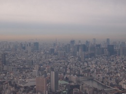 東京タワーを下に見て.jpg