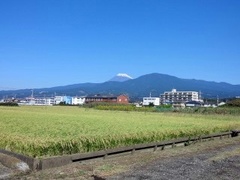沼津便り　初雪富士山.jpg