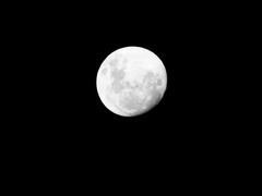 白黒写真のお月さま.jpg