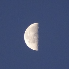 真半分の月-2.jpg