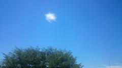 空にぽっかり雲一つ.jpg