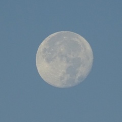綺麗な白い月が.jpg