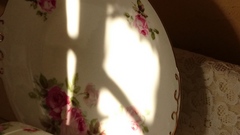 薔薇の皿に朝陽が窓の画をかいて.jpg