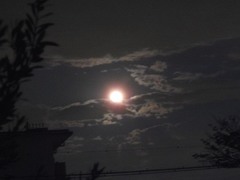 随分明るい月です.jpg