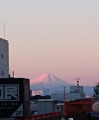 雪をかぶった富士山　ピンクに染まってる.jpg