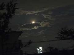 雲から月が出てきました.jpg