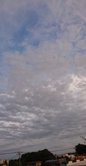 雲の絨毯.jpg