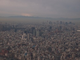 霞む街と富士山.jpg