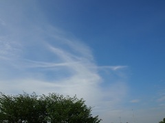 鳥が飛んでいるような雲　ス～ィ♪.jpg