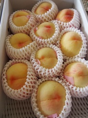 ０、岡山のパリ旅友から美味しい桃が.jpg