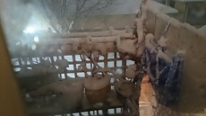 １０、ベランダの鉢にも雪が積もってます　頑張ってね！.jpg
